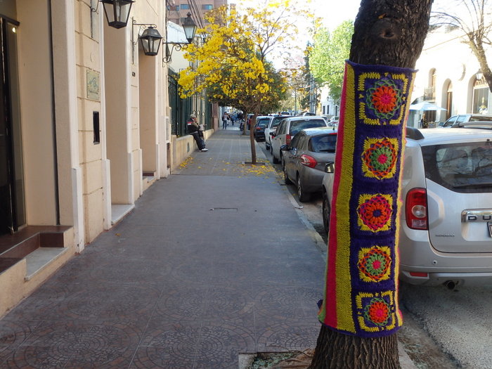 A Lapacho Tree and Native Art.